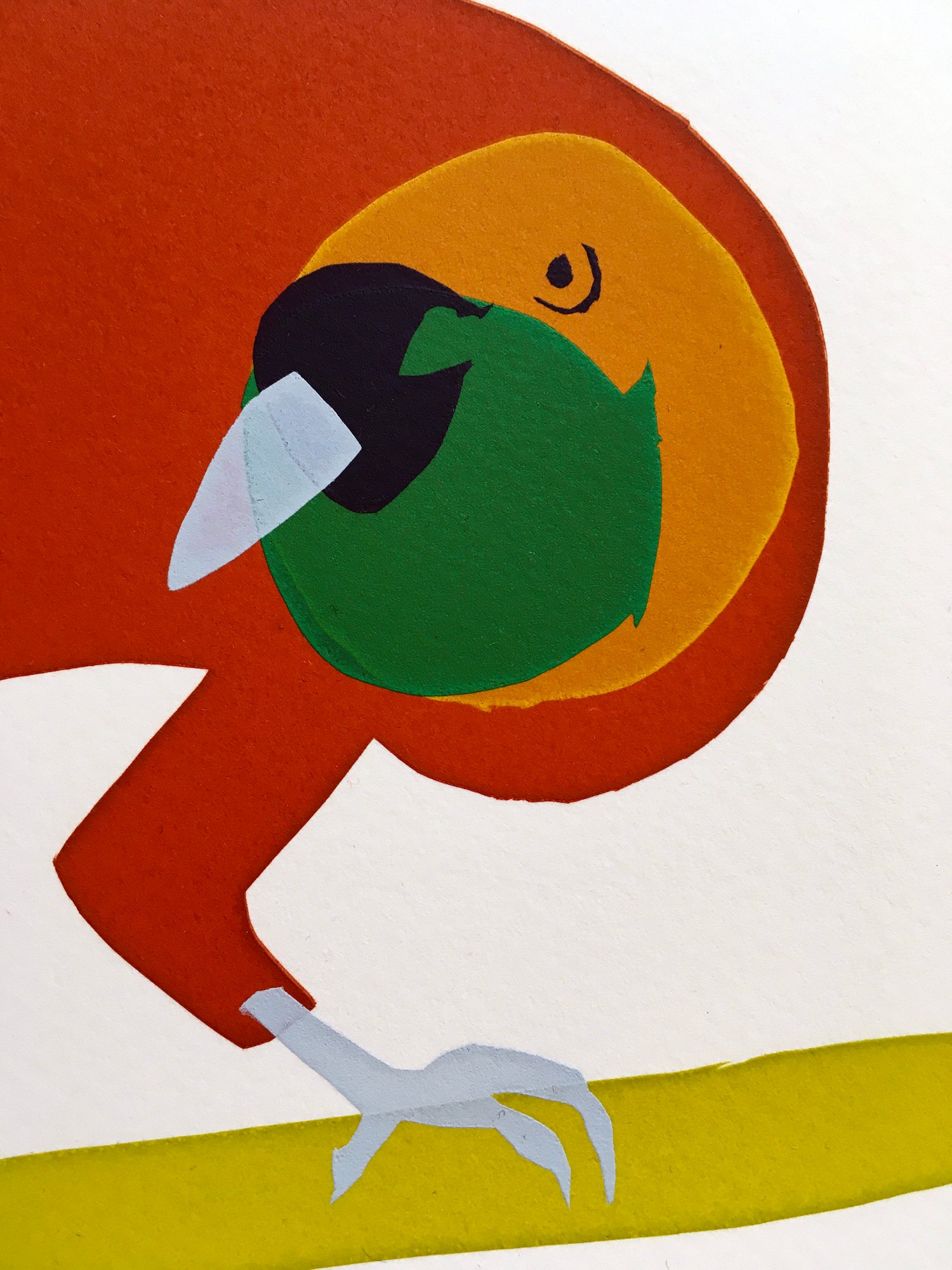 Image of Lesser Bird of Paradise