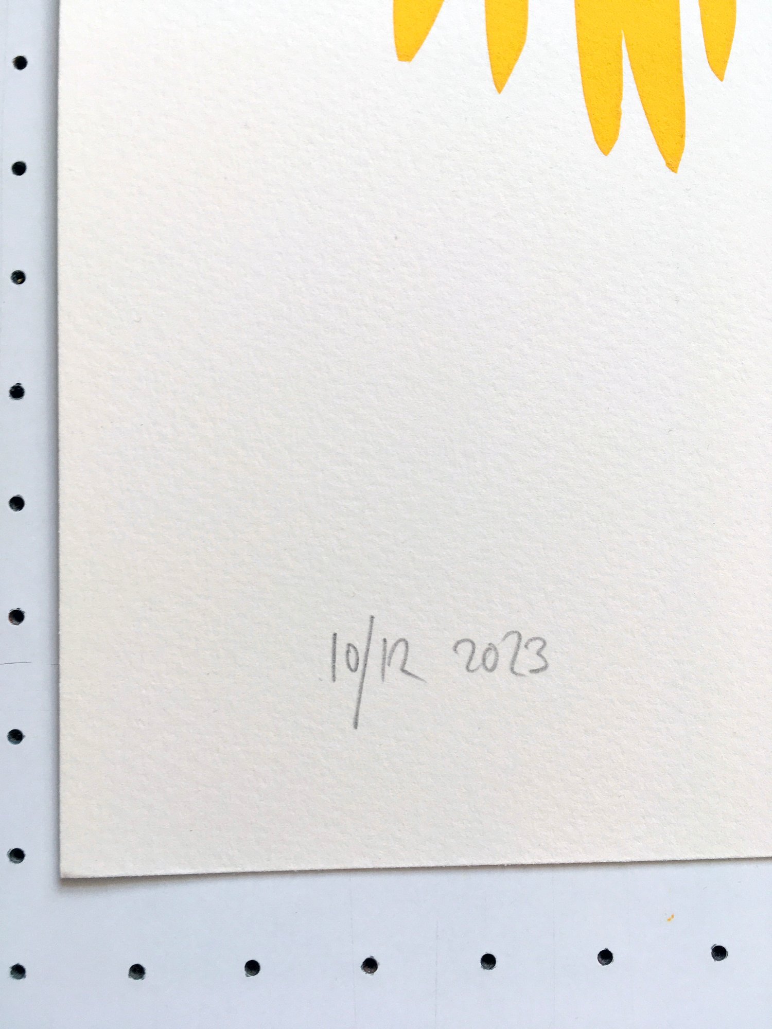 Image of Lesser Bird of Paradise