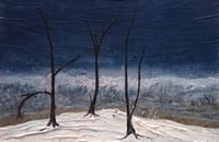 Image 1 of Winter Trees