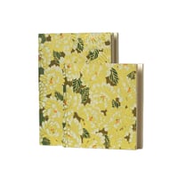 Image 3 of Notebooks, set * Hana * Gold