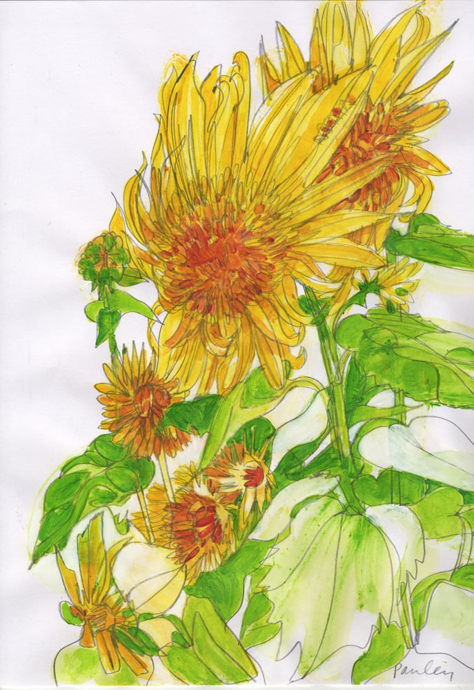 Image of Sunflowers