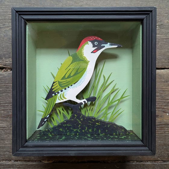 Image of Green Woodpecker Taxidermy