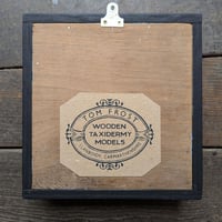 Image 2 of Green Woodpecker Taxidermy