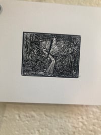 A walk in the woods - wood engraving print 