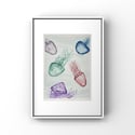 Jellies