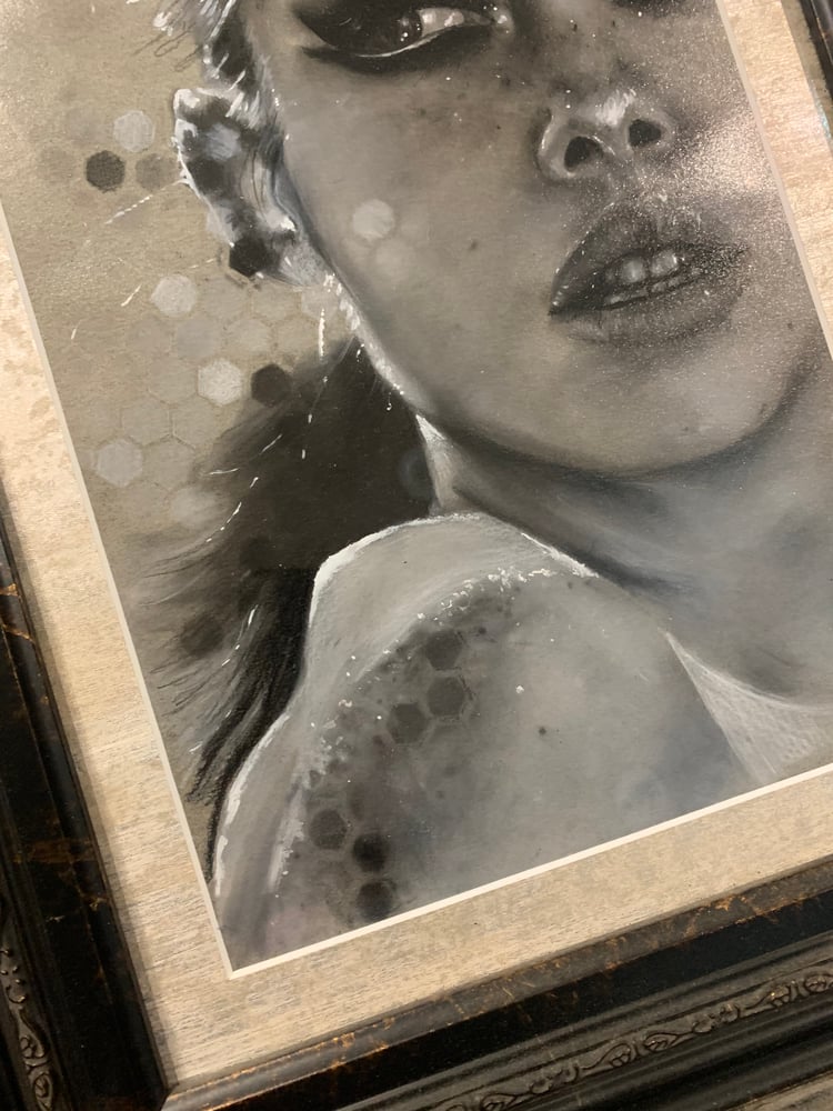 Image of Alpha Original