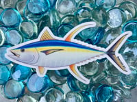 Image 1 of Yellowfin Tuna Sticker