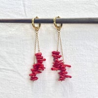 Image 1 of Red Caroline
