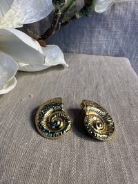 Image 1 of Stainless Steel Conch Earrings Gold