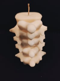 Image 2 of Spine