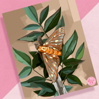 Image 1 of moth print
