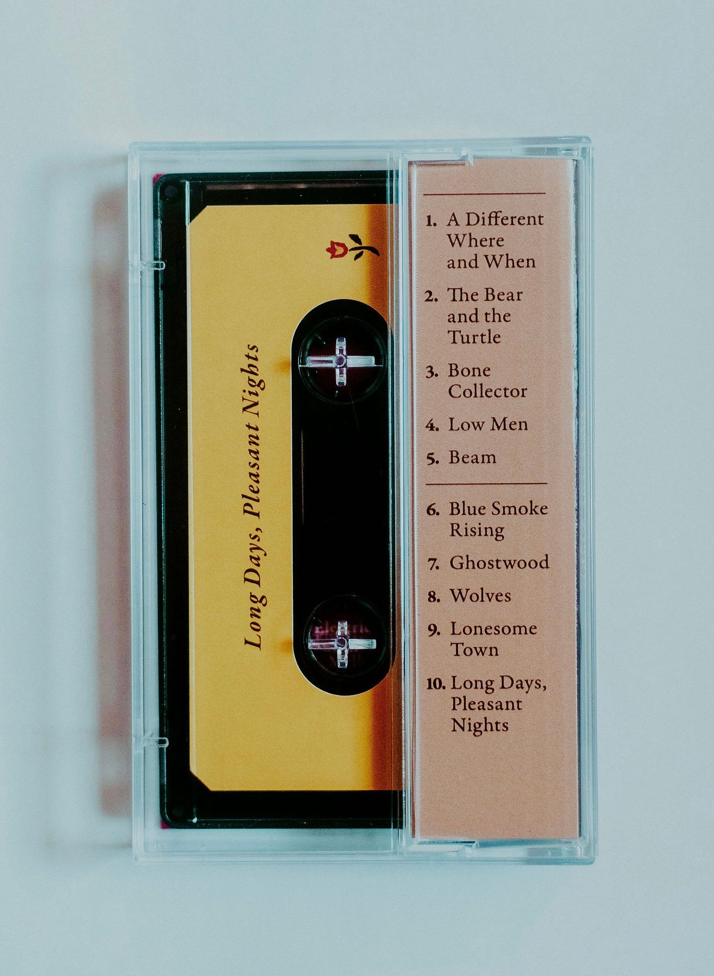 Image of LONG DAYS, PLEASANT NIGHTS