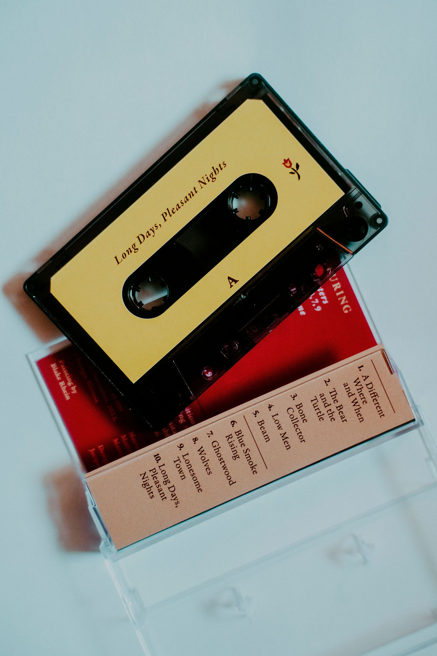 Image of LONG DAYS, PLEASANT NIGHTS