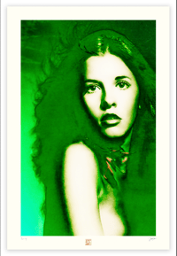 Image 1 of GREEN STEVIE (36X24)