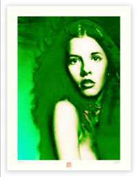 Image 1 of GREEN STEVIE (24X18)