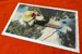 Image of Porcelain Beach Time Lazy Lady - Green One Piece with Red Bow