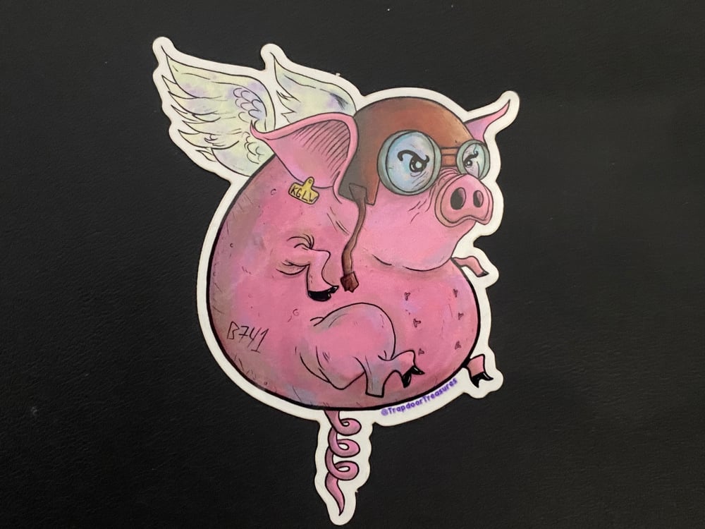 Flying Pig