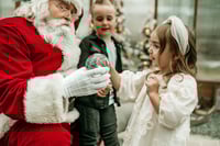 Image 3 of Santa Mini Sessions