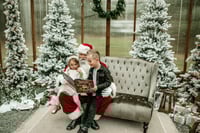 Image 2 of Santa Mini Sessions