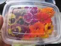 MEZCLUM DE FLORS- EDIBLE FLOWER'S MIX