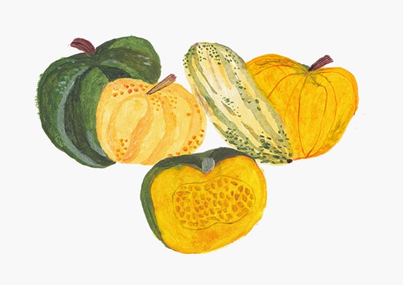 Image of Squashes Greetings Card