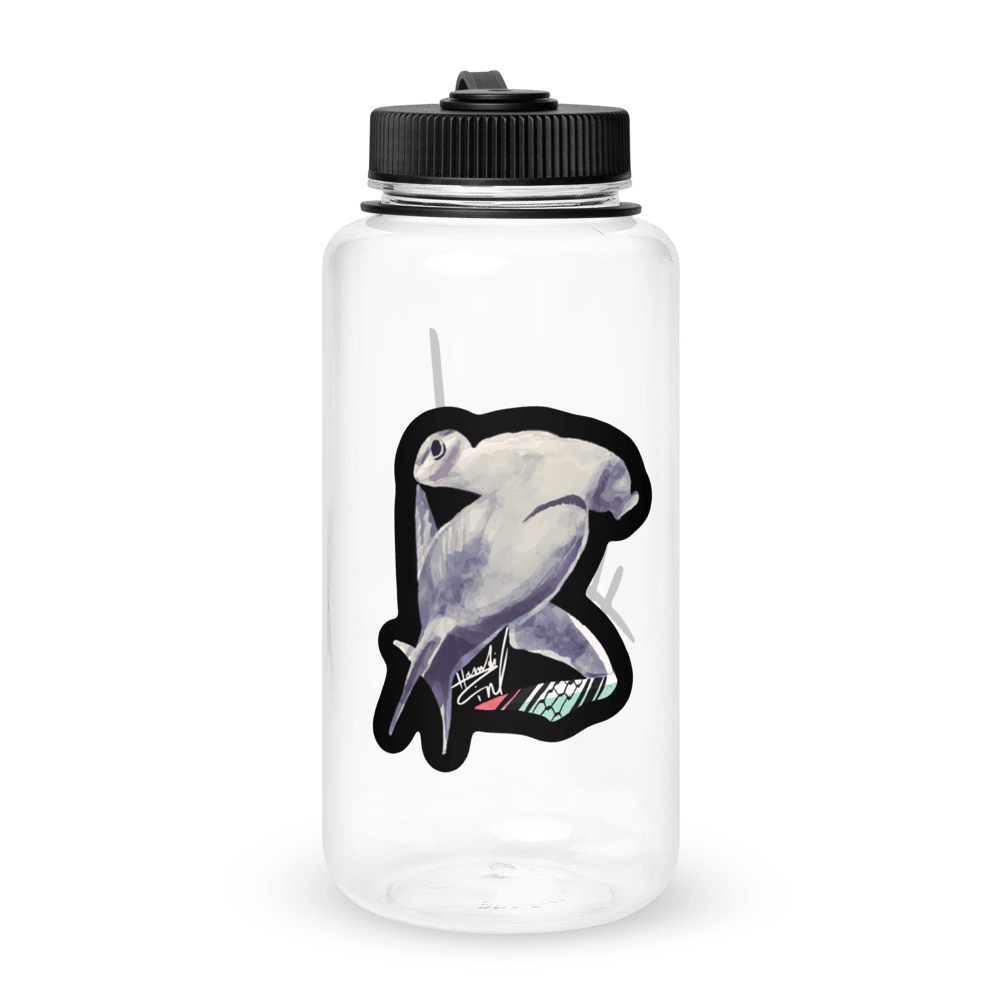 Image of HAMDI ZAINO X SPHYRNAS water bottle