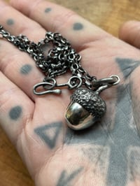 Image 3 of ‘Acorn’