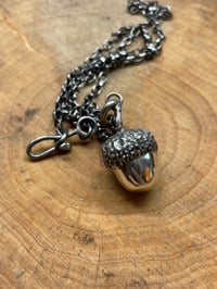 Image 2 of ‘Acorn’