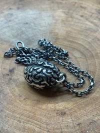 Image 2 of ‘Brain’