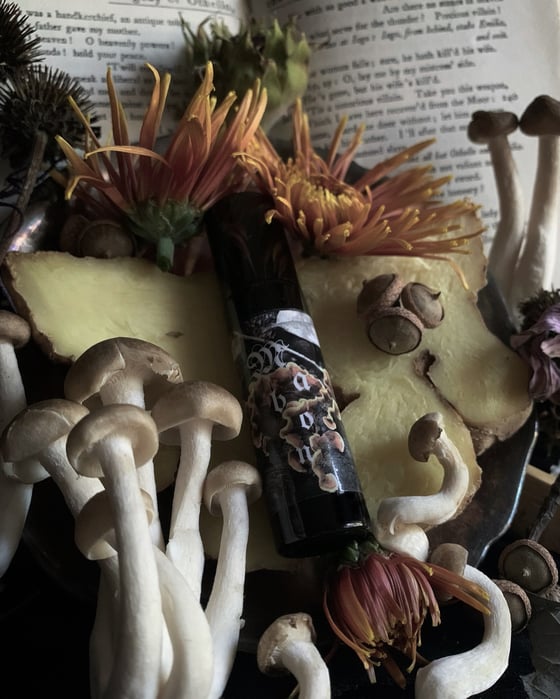 Image of Mabon Perfume Oil (Whiskey, Ginger, Spice, Amber)