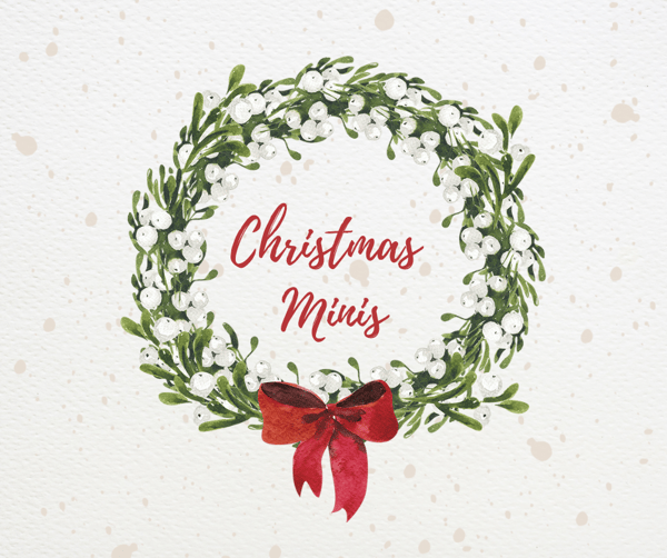 Image of Christmas Mini Session November 16th 