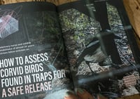 Image 3 of Wildfire zine