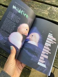 Image 4 of Wildfire zine