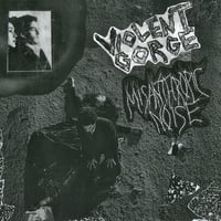 Misanthropic Noise / Voilent Gorge Split 10"