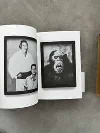 Image 12 of 777 - Tomoo Gokita