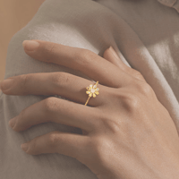 Image 2 of Annulus Auri Aviae 