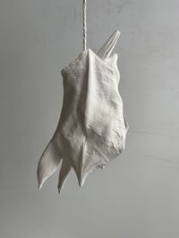 Image 1 of 25×12x7