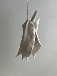 Image 2 of 25×12x7