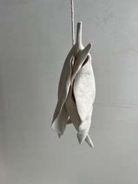Image 3 of 25×12x7