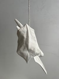 Image 4 of 25×12x7