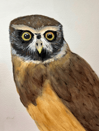 Owl Original Watercolor (Framed)