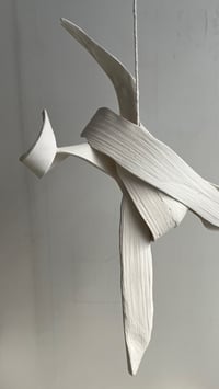 Image 1 of 44x37×20