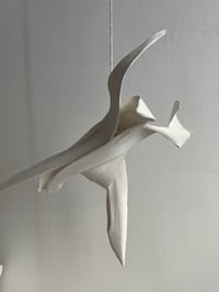 Image 2 of 44x37×20