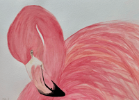 Pink Flamingo Original Watercolor