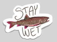 Image 1 of Stay Wet, Trout, 3"x4" Vinyl Sticker