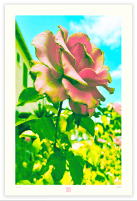 Image 1 of DUSTY ROSE (36X24)