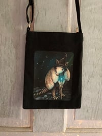 Image 1 of “Magic Dillo”