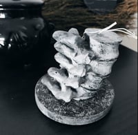 Image 3 of Spine