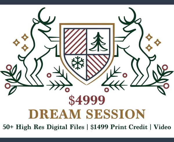 Image of Deposit - Saint Nick University Dream Session! ($4999)