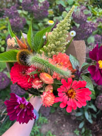 Image 3 of Farmstand Mini Bouquet